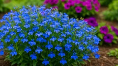 Sijanje lobelije kao profesionalac: ispravno kontroliranje svjetlosne klijavosti, vlažnosti i temperature