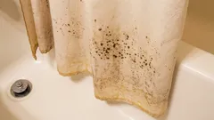 Plijesan na vašoj zavjesi za tuš: 30-minutni trik koji je zaista čisti