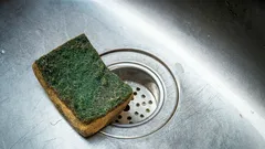 Što nije u redu s običnom spužvom za suđe — i čime ju je bolje zamijeniti