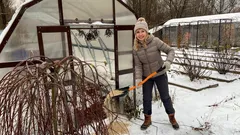 Nakon zime travnjak postaje tvrd kao beton: kako ga jednostavnim trikom ponovno natjerati da diše